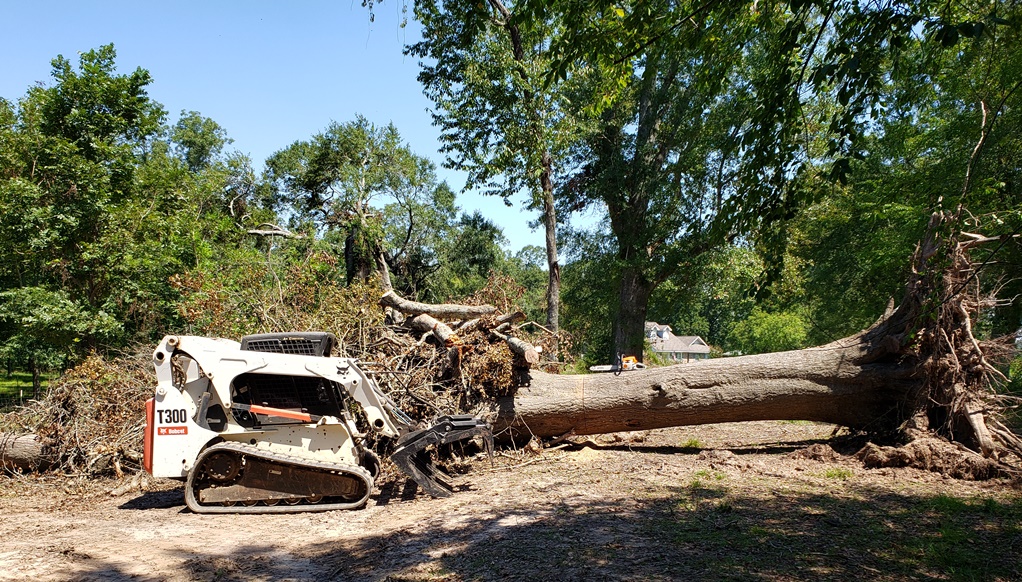 BobcatT300-TitanGrapple.jpg