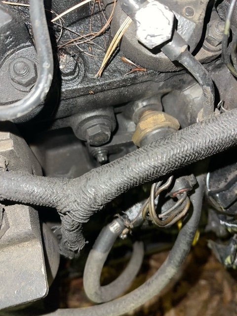 image6(1).jpeg
