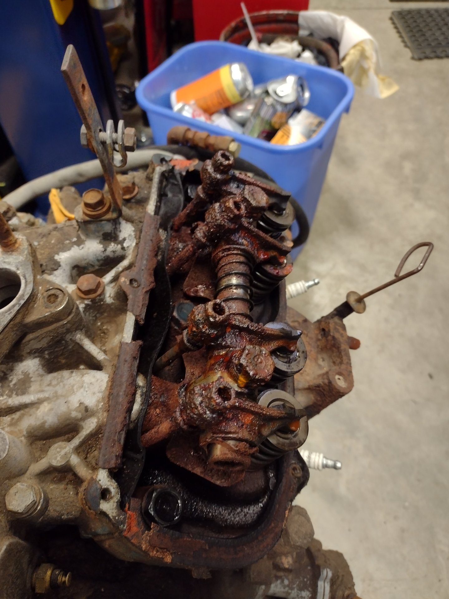 IMG_20231129_105605796[1].jpg