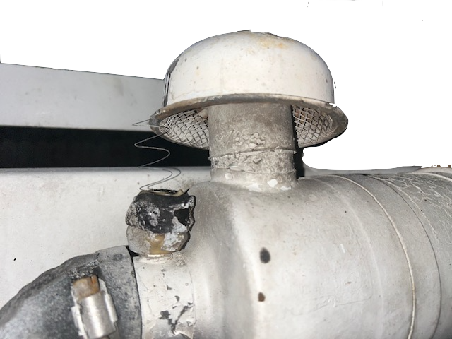IMG_4275.png