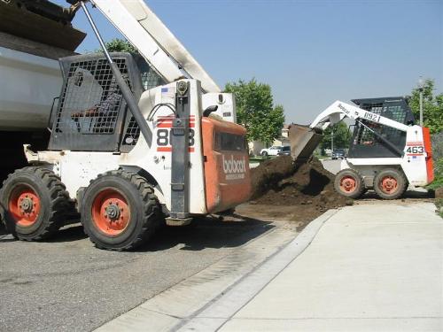 463 Bobcat Action! IMG_6240 (Medium).JPG