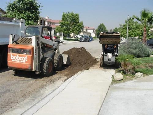 463 Bobcat Action! IMG_6242 (Medium).JPG