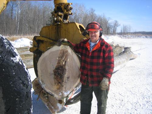 Ash veneer logging IMG_0670.JPG