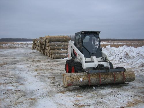 Ash veneer logging IMG_0691.JPG