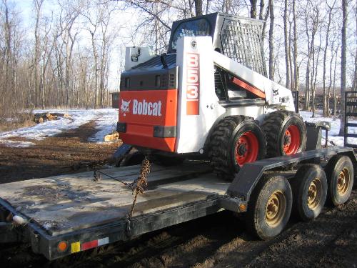 Ash veneer logging IMG_0723.JPG
