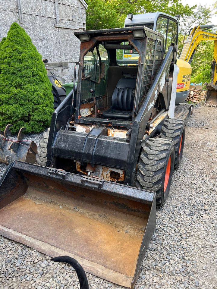 bobcat.jpg