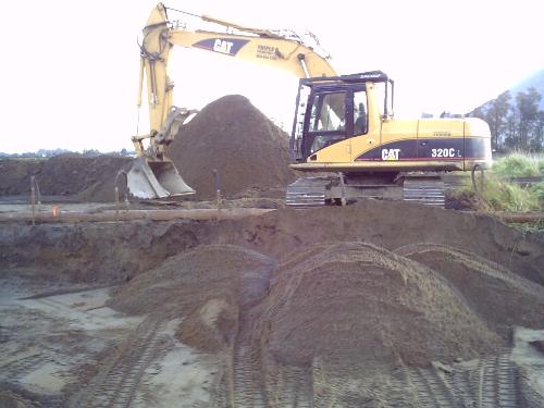 Bobcat Ron Pictures 042.jpg