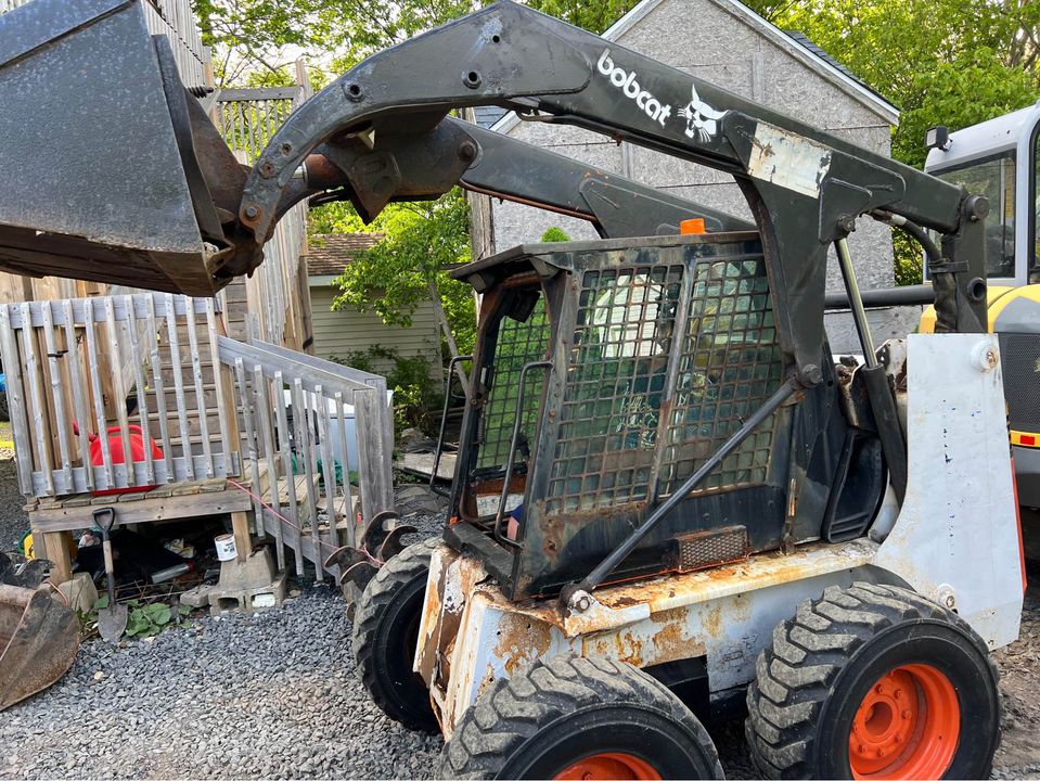 bobcat2.jpg