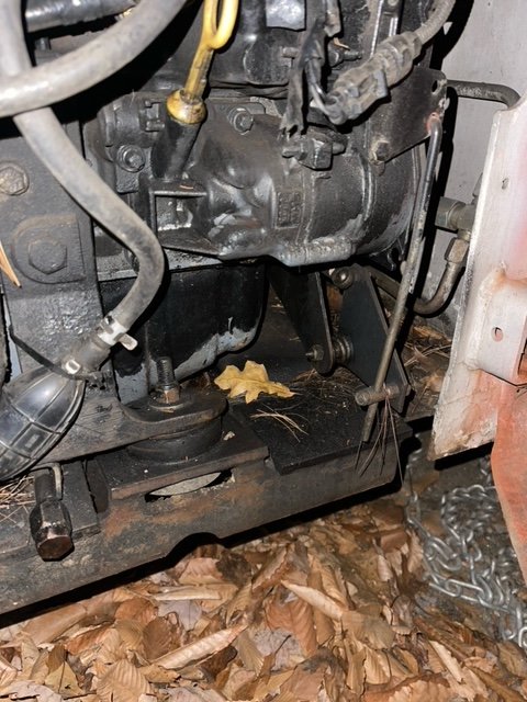 image5(1).jpeg