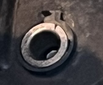 Img_8299CLOSEUP.jpg