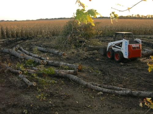 My 743B bobcat 743b logging rear view.jpg