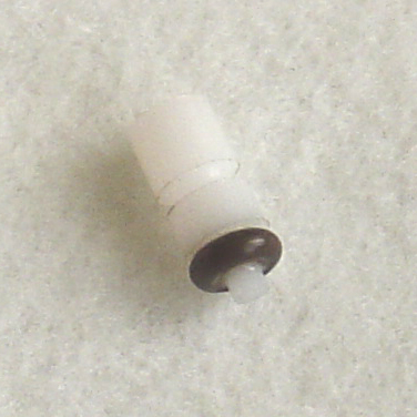 Nester1 DSC2.jpg