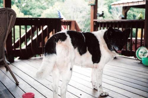 Tennessee Tornado Pictures Keiko Fall 20070001 (Small).jpg