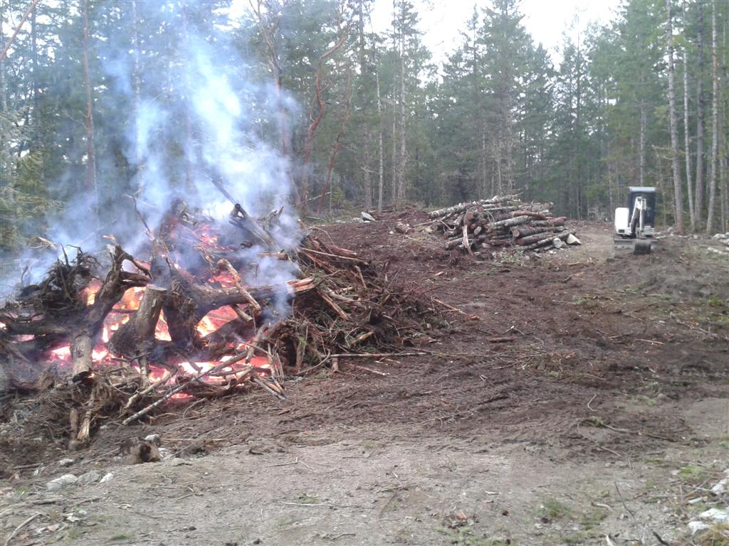 2013-01-22 15.19.46 (Large)