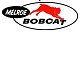  melroe-bobcat-small_zpsb1f89c06.jpg