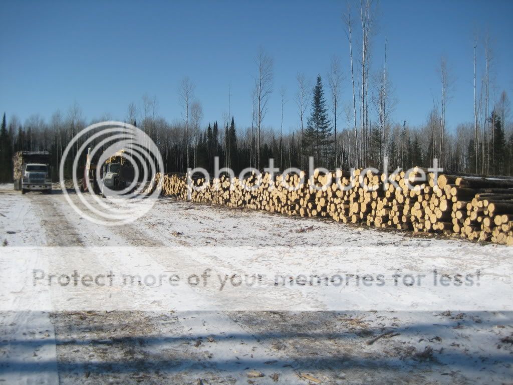 IMG_1033.jpg TL Wood pile picture by beyondupnorth